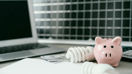 Piggy bank next to light bulbs