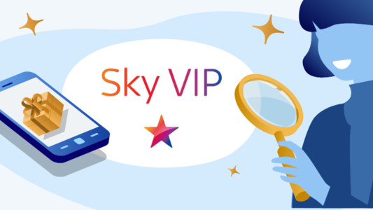 Image of a person inspecting Sky VIP