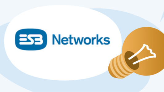 ESB Networks logo with a lightbulb