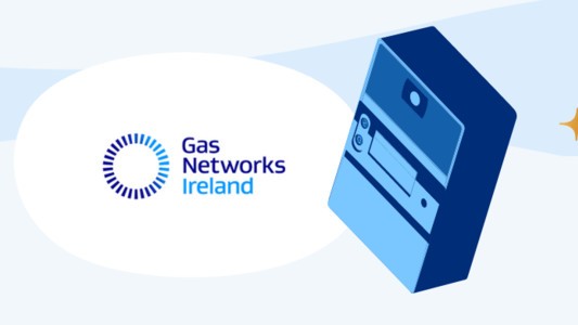 Gas Meter with Gas Networks Ireland logo