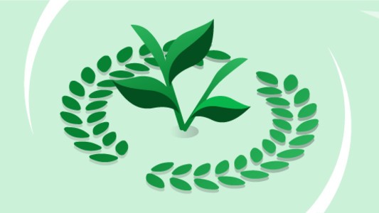 Renewable energy award in green background