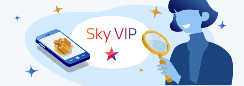 Image of a person inspecting Sky VIP