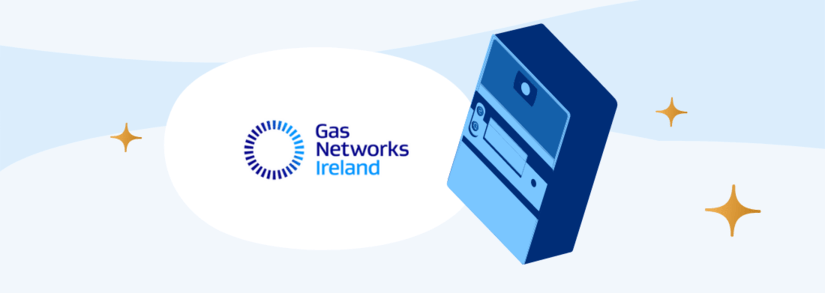 Gas Meter with Gas Networks Ireland logo