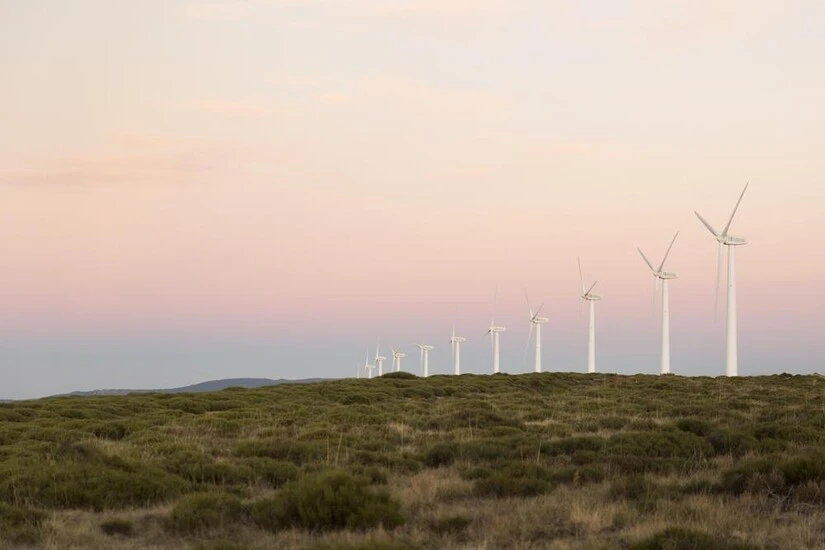 Wind farm