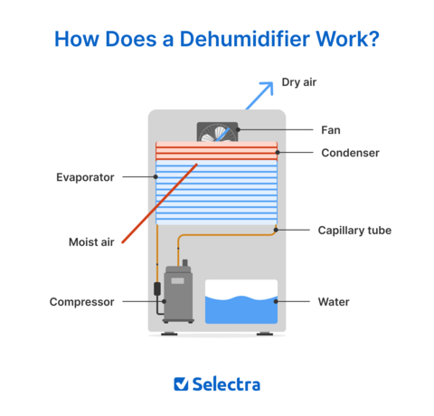 Dehumidifer